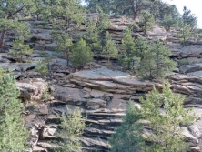 The joints in the photograph mimic topography, indicating that they formed:   A)  while the granite was still molten B)  while the rocks were still buried at great depth C)  when the weight of overlying rocks was unloaded, allowing expansion along the joints D)  along a subduction zone