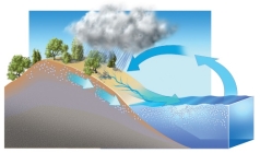 What concepts can be explained using this diagram?   A)  the movement of water between the oceans and the land B)  how precipitation ends up in rivers or groundwater C)  how weathering causes the seas to become saltier D)  all of these