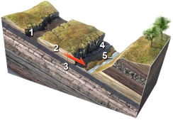 Which numbered feature on this figure is critical to enable a rock slide to start?   A)  1, a linear or curved scar marking where the slide pulled away from the hill B)  2, small fractures within the sliding block C)  3, layers, fractures, or some other discontinuity inclined downslope D)  4, the front of the slide, where it overruns the land surface E)  5, a valley or other open space in front of the slide