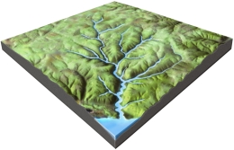 What is the mostly likely setting for this drainage pattern?   A)  the rocks have a relatively equal resistance to erosion B)  drainages have followed a series of fractures that branch off of one another C)  the area has folded or faulted rocks with different resistances to erosion D)  a volcano once existed here but has been partly eroded away