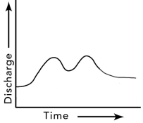 What is a reasonable interpretation for the flow event recorded by this hydrograph?   A)  there were two pulses of runoff because there were two storms B)  the drainage basin has several distinct parts C)  one pulse could be due to snowmelt and the other to rain D)  all of these