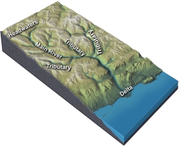 What typically happens when tributaries join the main river?   A)  channel size increases B)  water velocity increases C)  the amount of discharge increases D)  total sediment load increases E)  all of these