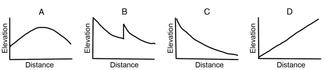 Which of the following graphs is typical for the profile of a river?   A)  A B)  B C)  C D)  D