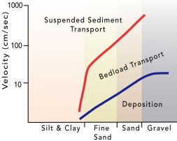 What does the associated graph indicate about a stream?   A)  Silt and clay are carried in suspension under most stream velocities. B)  Sand and gravel are deposited at low velocities but transported at higher velocities. C)  Sand is carried in suspension only at high velocities. D)  As fast-moving water slows down, fine sand can switch from transport by suspension to the bed load. E)  All of these.