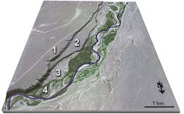 This figure shows four numbered river terraces, with 1 being the highest and 4 being the lowest. Which is the oldest terrace?   A)  1 B)  2 C)  3 D)  4