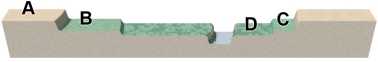The accompanying figure shows a series of river terraces. Which of these terraces is the oldest?   A)  A B)  B C)  C D)  D