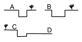 For the same discharge, which site is most likely to be flooded?   A)  A B)  B C)  C D)  D
