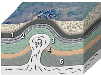 Which site in the accompanying figure is the most likely setting for an oil field?   A)  shales at 1, 3, and 5 B)  limestone at 2 C)  sandstone at 4 D)  both 2 and 3 E)  both 2 and 4