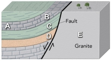 Which site in the accompanying figure is the most likely setting for an oil field?   A)  limestone at A B)  limestone at B C)  shale at C D)  sandstone at D E)  granite at E