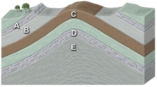 Which site in the accompanying cross section is the most likely setting for an oil field?   A)  limestone at A B)  shale at B C)  sandstone at C D)  limestone at D E)  thick shale at E
