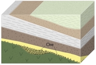 What is the main way that gold-bearing conglomerate beds, such as those in South Africa, form?   A)  hot water flows along the margins of a caldera B)  hot water circulates around a magma C)  magma bakes nearby limestone and other reactive rocks D)  pieces of gold are carried by streams and later buried