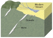 How do modern gold placer deposits form?   A)  hot water circulates around a magma B)  hot water flows along the margins of a caldera C)  hot water rising through veins encounters buried gravels D)  pieces of gold are weathered and eroded from bedrock and carried and deposited by streams.