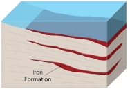 How did large iron deposits, called banded iron formations, form?   A)  hot water circulates along the margins of a caldera B)  groundwater mixes with seawater in the subsurface C)  magma releases metal-rich fluids that replace reactive rocks D)  an increase in oxygen in Earth's atmosphere caused seas to precipitate beds of iron-rich minerals