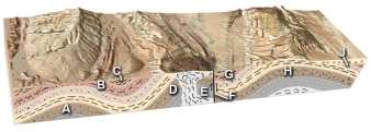 From this list, choose the reasons)  that indicates)  why you suspect a particular energy resource is present at location H.   A)  Oil and gas migrate up to the crest of a fold, with an impermeable unit that traps oil and gas below. B)  Rocks adjacent to a rising salt dome bow upward. Petroleum migrates along these uptilted layers and becomes trapped when it encounters the impermeable salt. C)  A fault zone, if impermeable, can act as a barrier to migrating oil and gas, causing the oil or gas to accumulate adjacent to the fault zone. D)  None of these.