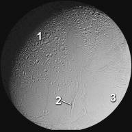Which of these numbered areas on Enceladus, a moon of Jupiter, is probably the oldest?   A)  1, a heavily cratered terrain B)  2, tectonic belts that cut across the cratered terrain C)  3, less cratered plains D)  there is not enough information to tell