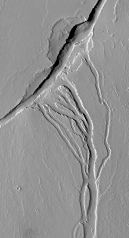 What do these channels indicate about past events on Mars?   A)  there were explosive volcanic eruptions B)  strong winds eroded into a series of volcanic layers C)  the surface once had running water that eroded and deposited sediment D)  glaciers once covered the entire planet