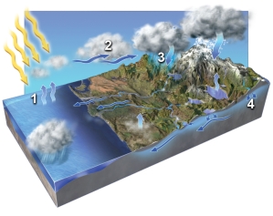 In which areas on the accompanying figure is condensation occurring?   A)  1 and 2 B)  2 and 3 C)  3 and 4 D)  1 and 3 E)  2 and 4