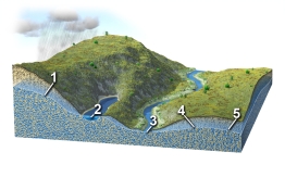Each number on this figure refers to a location with groundwater in a subsurface material that is consistent in character across the entire figure. Of these locations, which would likely have the slowest groundwater flow?   A)  1 and 2 B)  2 and 3 C)  3 and 4 D)  4 and 5 E)  1 and 5