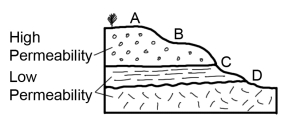 Which of the sites on this cross section would be the most likely place for a spring?   A)  A B)  B C)  C D)  D
