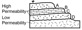 Which of the sites on this cross section would be the most likely place for a spring?   A)  A B)  B C)  C D)  D