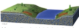 A part of a steam that receives water from the inflow of ground water is called a:   A)  gaining stream B)  losing stream C)  hydraulic gradient