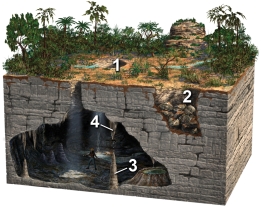 Which of these four numbered features on the surface or in a cave is a stalactite?   A)  1 B)  2 C)  3 D)  4 E)  none of these
