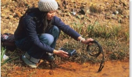 Which of the following would NOT be information collected by a hydrogeologist?   A)  The age of the groundwater B)  The depth of the groundwater C)  The direction of the groundwater flow D)  The quality of the groundwater E)  The amount of groundwater