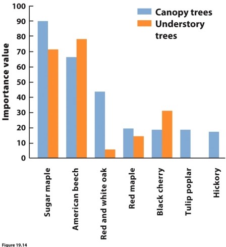    (Figure 19.14) This figure shows the importance of different tree species in the canopy and understorey of a forest. Why did the researchers who conducted this study suggest that the future canopy will have fewer oaks and hickories?