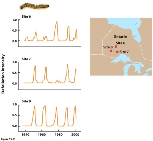   (Figure 15.13) The figure shows population fluctuations in forest tent caterpillars over a 60-year period. The caterpillars were susceptible to a viral infection throughout this time. What causes the 10- to 15-year population fluctuation in the caterpillars?