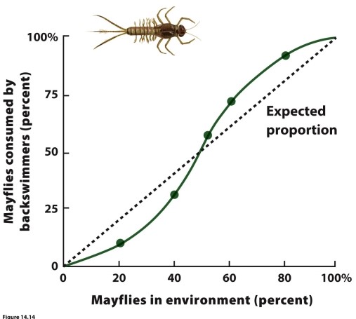    In experiments with the backswimmer (Notonecta glauca), a predatory insect, and two types of prey species, isopods (Asellus aquaticus) and mayflies (Coeon dipterum), predator preference seemed to be affected by the percent of mayflies. What explains the results presented in the figure? What type of functional response is being demonstrated?