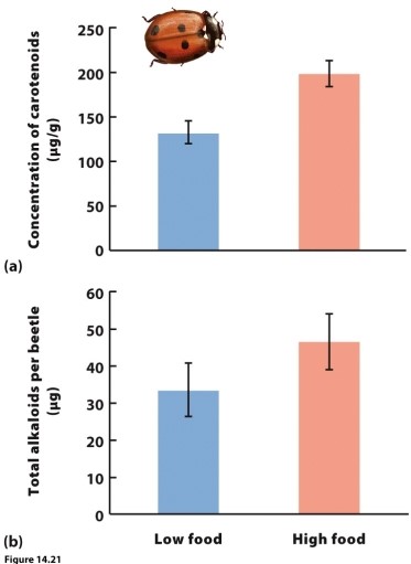   Ladybugs (Coccinella septempunctata) produce bad-tasting alkaloids as a chemical defence against predators. Researchers wanted to determine the costs of this chemical defence. They fed ladybugs either small or large amounts of food and measured alkaloid production and concentrations of carotenoids in the ladybug bodies. Carotenoids are the chemicals responsible for the red colour of the ladybug, which advertises its unpalatability to predators. What do the results of this experiment, shown in the figure, indicate about costs of chemical defences?<div style=padding-top: 35px> 