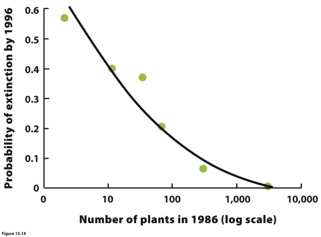   Which conclusion does the figure support? A)  Recruitment of all species has been constant. B)  Oak may have had increased recruitment since 1650. C)  White pine may have had decreased recruitment since 1650. D)  Eastern hemlock has had decreased recruitment since 1650.