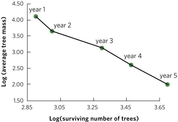 The graph shows one possible answer; students will have their own values. The figure should show log-transformed mass on the y axis and log-transformed survival on the x axis. The points they plot should form a negative slope.    -A biologist studies a population of birds for 25 years. Each year the biologist records the amount of rainfall and the density of birds (number of birds per 100 square metres). Additionally, the biologist determines the survival rate for eggs laid that year. The biologist then plots egg survival rate against both rainfall (graph a) and bird density (graph b). In each plot the individual points represent the data for one year of the study. Based on these data, does this population of birds appear to have positive density-dependent population regulation, negative density-dependent population regulation, or density-independent population regulation? As part of your answer, list the prediction for each type of population regulation and explain whether the data meet that prediction.   