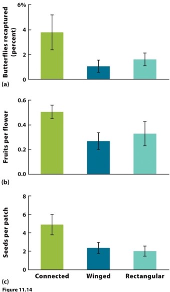    (Figure 11.14) Researchers used an experimental design in which they cleared large patches of pine forest in five areas. The central cleared area served as the source of dispersers. The four remaining cleared patches were (1) a rectangular unconnected patch, (2) a rectangular patch connected to the central patch by a cleared path that served as a corridor, (3) two rectangular patches with wings (patches with corridors that did not connect to other patches). The researchers were interested in the importance of habitat corridors to the movement of seeds, pollen, and butterflies between central and peripheral habitat patches. What was the purpose of the unconnected winged patches?