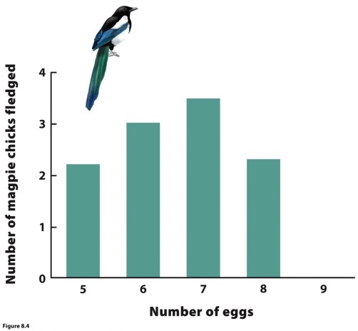 Use this figure to answer questions 27 and 28.    -Use the information in the figure to explain whether the fitness of the parent increases with more eggs produced and why.