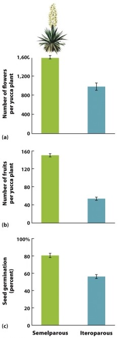   -Yucca plants are mostly iteroparous, but some can be semelparous. Based on the information in Figure 8.9, semelparous yuccas have a higher percentage of seed germination, which suggests high fitness. Why, then, are most yucca varieties iteroparous?