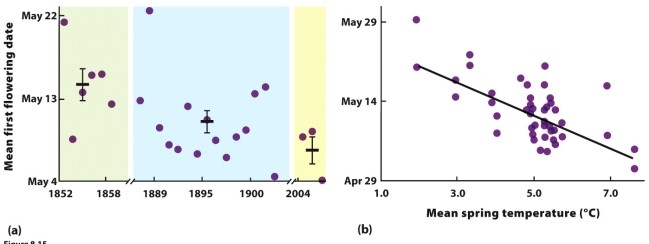   -The data in the figure show a relationship between the mean flowering date for many plant species around Concord, New Hampshire, in the United States, and the mean spring temperature over a time span exceeding 150 years. However, there is a lot of scatter around the best-fit line in panel b. What information in the chapter might suggest the source of this scatter, and what does it imply about the plant species' cues for flowering?