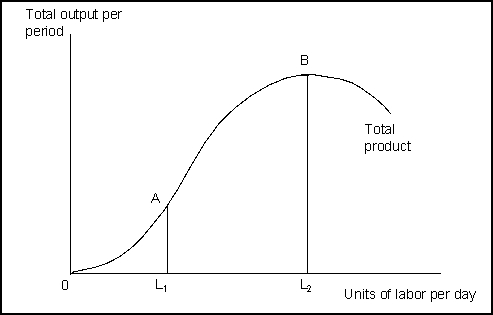   -(Exhibit: Total Product)  Units of labor added after L<sub>1</sub> and up to L<sub>2</sub> are: A)  subject to diminishing marginal returns. B)  adding increasing amounts to total product. C)  adding positive amounts to total product. D)  described in A and C. 
