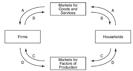 Figure 6-1 shows the circular flow model where only consumption goods are being produced. Use the figure to answer questions . Figure 6-1   -Refer to Figure 6-1. Suppose you have been hired by an electronics store as a salesperson. Which of the following flows represents this transaction? A)  A and B B)  B and C C)  A and D D)  C and D