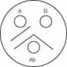   The antigen in well A is  A) the same as the antigen in well B B) not at all like the antigen in well B C) partially the same as the antigen in well B D) the same as the antigen in well B and has an extra antigen in the well