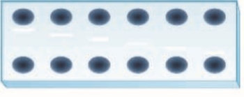   If the antibody's concentration is the same in all the wells at the bottom of the double diffusion gel precipitation reaction in the figure  A) and the antigen is the same in each well, the concentration of the antigen in the wells is higher on the right side of the gel than on the left side B) and the antigen is the same in each well, the antigen's concentration in the wells is higher on the left side of the gel C) there is not enough information to choose one answer D) the reactions on the left side of the gel are in prozone; the reactions on the right side of the gel are in postzone.