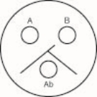   In the Ouchterlony in the figure,  A) A and B have a molecule that shares an epitope, but the molecule from A has an extra epitope B) A and B have a molecule that shares an epitope, but the molecule from B has an extra epitope C) A and B do not have a molecule that shares an epitope, and the molecule from A has is a faster diffusion coefficient D) A and B do not have a molecule that shares an epitope, and the molecule from B has is higher molecular weight
