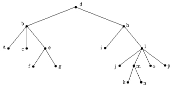 Find the preorder traversal.  