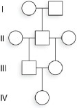 Given the following pedigree, what is the coefficient of inbreeding for individual IV-1?   A) 1/2 B) 1/4 C) 1/8 D) 1/16 E) 1/64