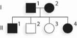 Given what you know of the inheritance pattern of SCD, is the following pedigree representative of a typical SCD pedigree?   A) Yes; this is a pedigree showing dominant inheritance, and SCD exhibits dominant inheritance. B) Yes; this is a pedigree showing recessive inheritance, and SCD exhibits recessive inheritance. C) No; this is a pedigree showing dominant inheritance, and SCD exhibits recessive inheritance. D) No; this is a pedigree showing recessive inheritance, and SCD exhibits dominant inheritance. E) Another generation is needed before you can determine mode of inheritance.
