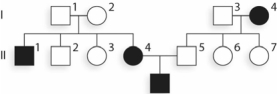 Given what you know of the inheritance pattern of SCD, what can be said of individual II-5?   A) He is a carrier because his mother was affected and his son was affected. B) His children with II-4 will have a 50% chance of being carriers (β<sup>A</sup>β<sup>S</sup>) . C) His children with II-4 will all have a 50% chance of being affected (β<sup>S</sup>β<sup>S</sup>) . D) A and B are correct. E) A, B, and C are correct.