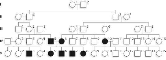 In the accompanying figure, the chance that individual III-2 is a heterozygous carrier is __________.   A) 0% B) 25% C) 50% D) 75% E) 100%