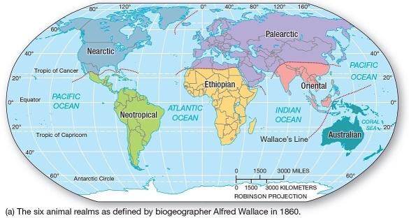    Biogeographic Realms  Boundaries of biogeographic realms usually A) are arbitrary,demarcated by Alfred Wallace in the 19th Century. B) are based on current country delineation. C) follow the boundaries of biomes. D) are climatic and topographic barriers. E) are based on locations of major high and low pressure zones.