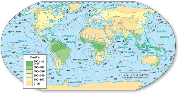  Net primary productivity.Worldwide net primary productivity in grams of carbon per square meter per year (approximate values)   In which of the following areas would one tend to find the highest net primary productivity? A) northern Brazil B) central Australia C) western Canada D) Eurasia E) Mongolia