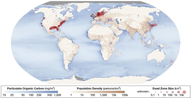  Worldwide Coastal Dead Zones  In which of the following areas does one find the highest concentrations of coastal deadzones? A) west coast of South America along Chilean coast B) the Hudson Bay area of Canada C) northern and eastern Australia D) along the horn of Africa E) the North Sea area of western Europe